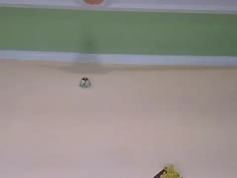 hotee_bhabi's cam snapshot