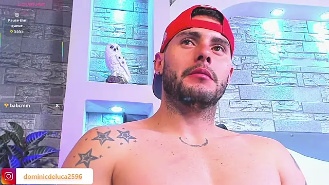 dominic_de_luca's cam snapshot