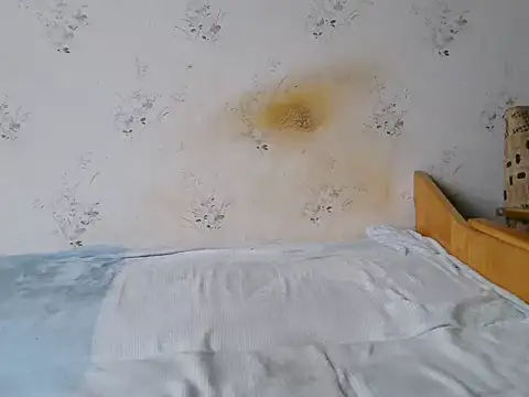 Kreol69's cam snapshot