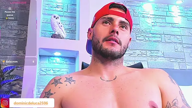 dominic_de_luca's cam snapshot