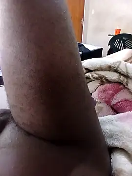 seductivescamp live sex cam