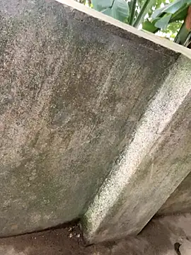 NhuFox's cam snapshot