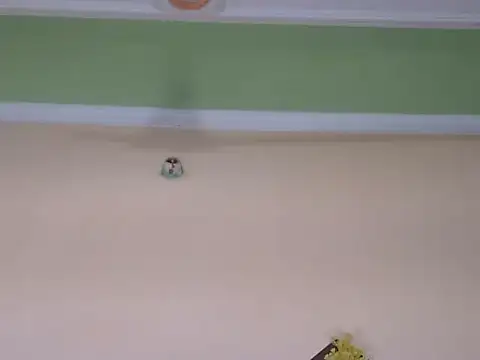 hotee_bhabi's cam snapshot