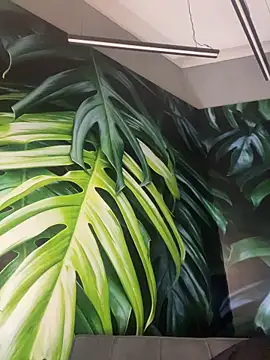 IAN_KNOX's cam snapshot