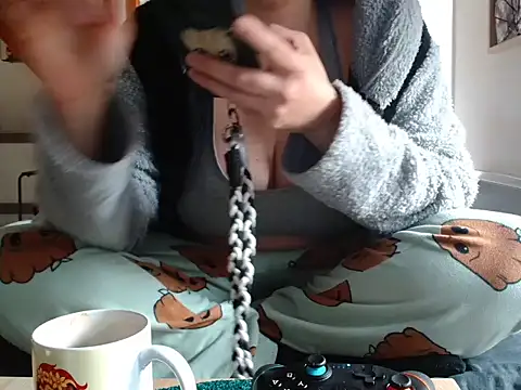 Lauzo's cam snapshot