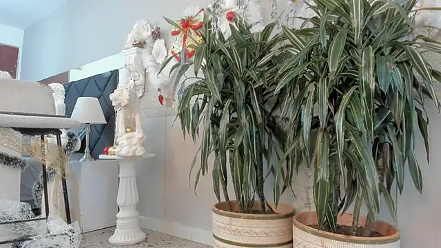 Robin_Rief live sex cam