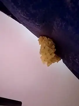 joya_bhabi's cam snapshot