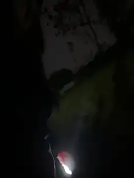 tiantiandao live sex cam