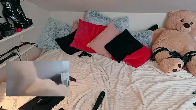 Sydney-Schmid's cam snapshot