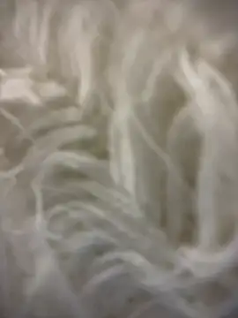 yourkeer's cam snapshot