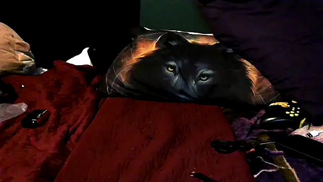 wolfgirl97 live sex cam