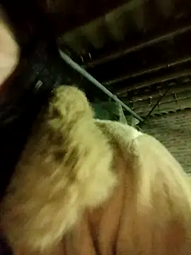 Sinejdk3 live sex cam