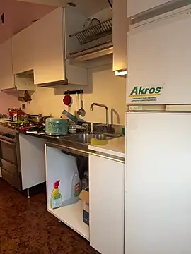 Sunbelxx live sex cam