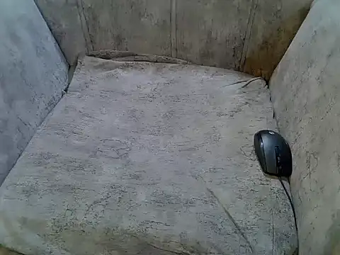 pradapussycat's cam snapshot