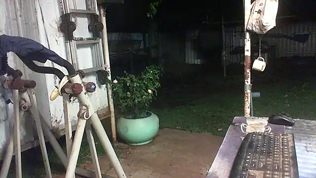 herbie010666 live sex cam