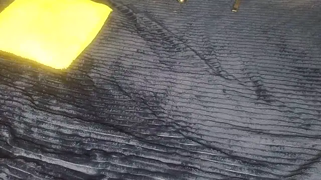 Sexy_sharntel's cam snapshot