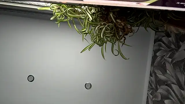 HollyCroker's cam snapshot