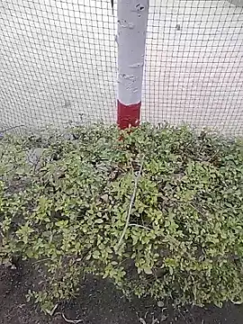 Monty080's cam snapshot