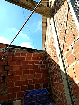 ariana_d20 live sex cam