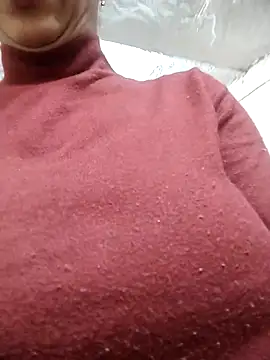 meenu_bhabhi547's cam snapshot