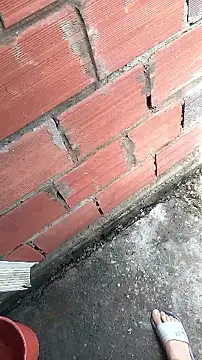 mendelicius's cam snapshot