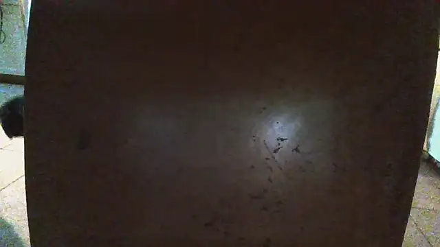 jaxx12369's cam snapshot