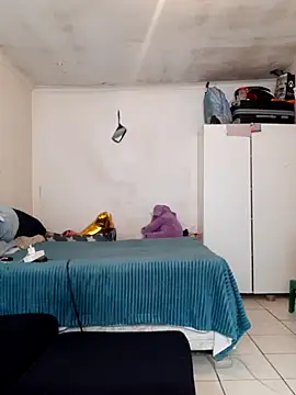 Scollyman's cam snapshot