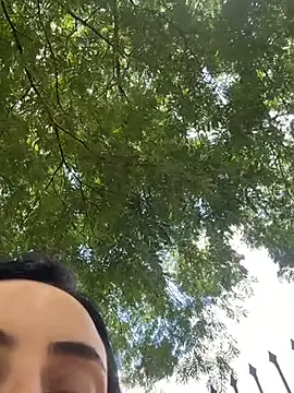 Soufeia's cam snapshot