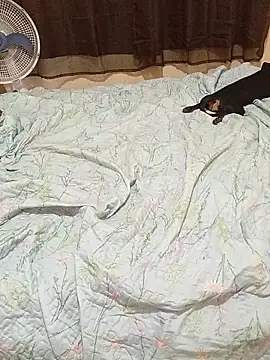 Ravena2290's cam snapshot