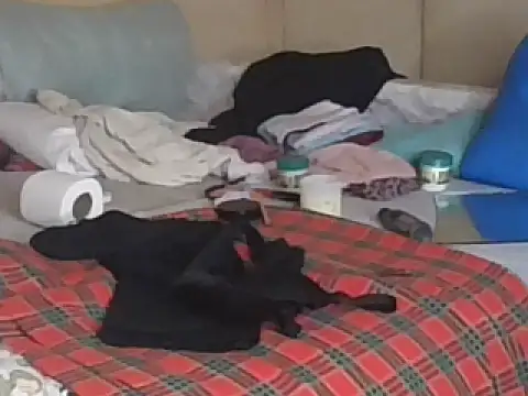 Bootiq's cam snapshot