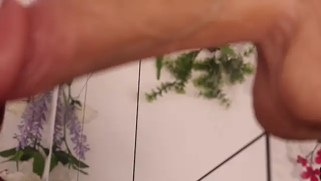 justnala_'s cam snapshot