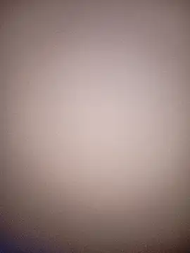 bustybillies's cam snapshot