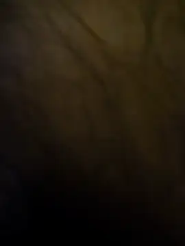 hungarian_dick live sex cam