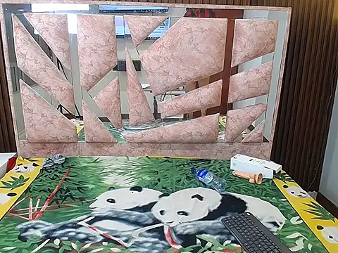 sandy_andderson's cam snapshot