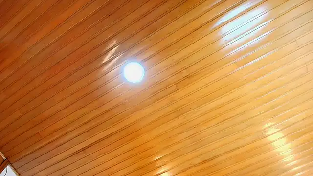 AlexaLaenz's cam snapshot