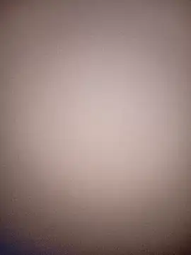 bustybillies's cam snapshot