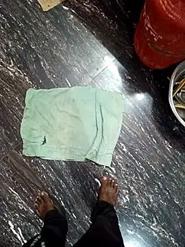 dolphiinn's cam snapshot