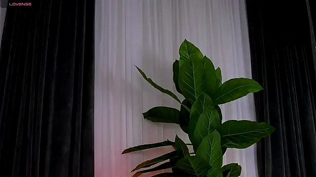 AishleyBee's cam snapshot