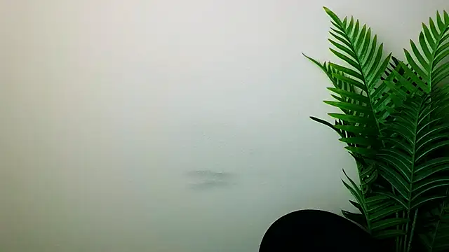 veryshygirl's cam snapshot