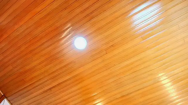 AlexaLaenz's cam snapshot