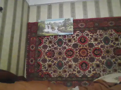 AlferezzSolvajo's cam snapshot