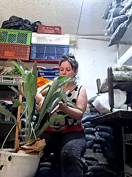 Niidia's cam snapshot