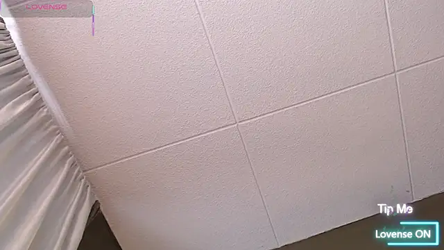 PaulEvens live sex cam