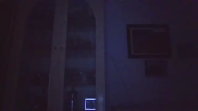 llopaco's cam snapshot