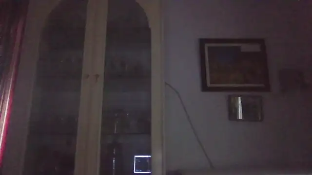 llopaco's cam snapshot