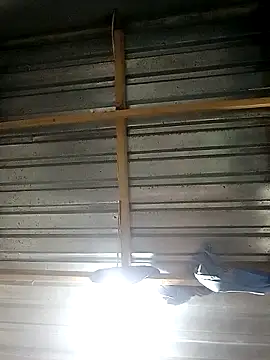 BigGamecharger live sex cam