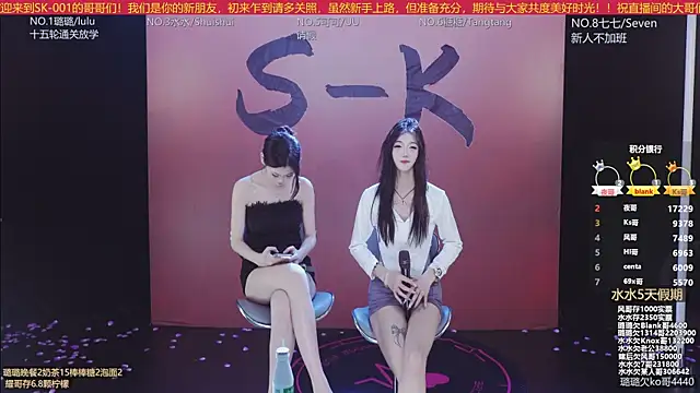 SK-001's cam snapshot