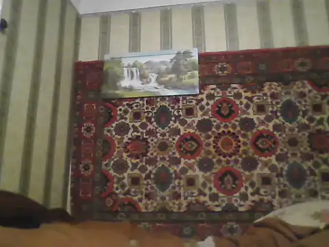 AlferezzSolvajo's cam snapshot