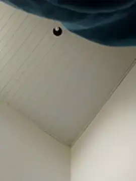 morenoosafado18cm's cam snapshot