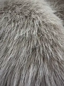 Ivy_Bae's cam snapshot